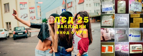 PSILOCYBIN Новодвинск