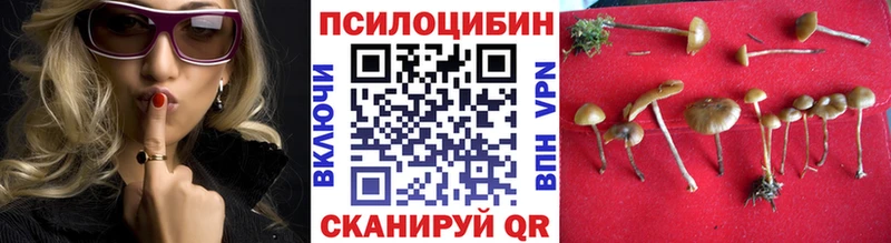 darknet какой сайт  Медынь  Псилоцибиновые грибы MAGIC MUSHROOMS 